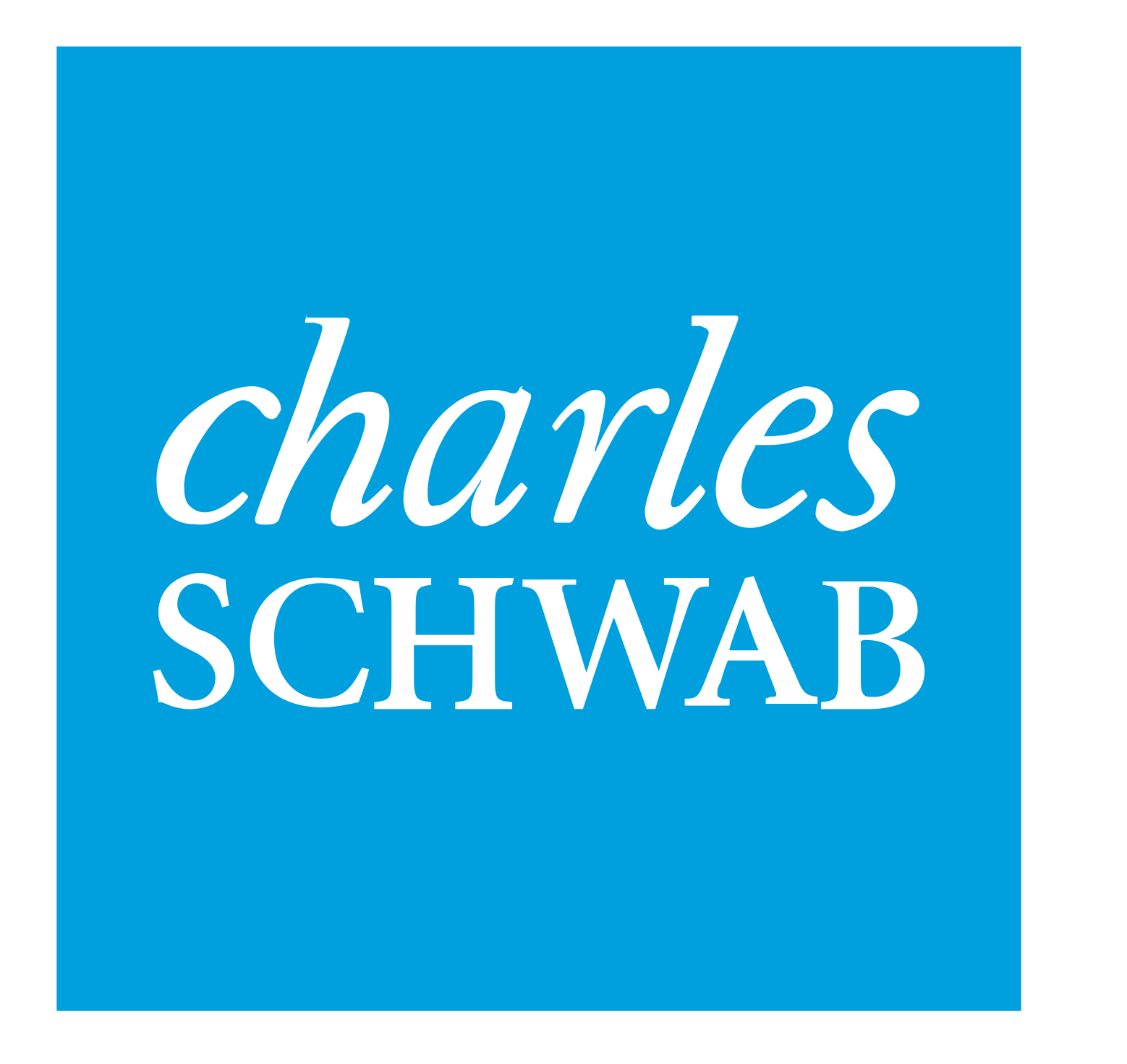 Charles Schwab trading journal integration